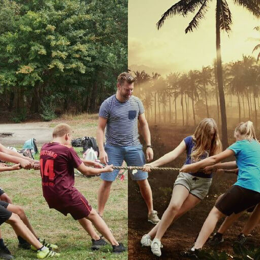 sandrode 3